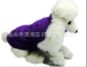 從澄海到全球 日申工藝毛衫廠與“大白寵物”的溫暖旅程